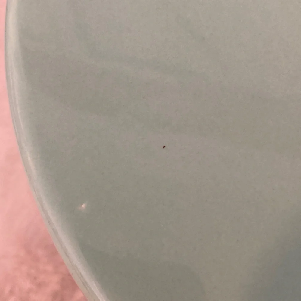 Target BP 2019 Scalloped Aqua Cake Stand